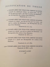 Load image into Gallery viewer, Divine Comedy - L'Enfer - Chant 16 - The Mount Of Geryon - Etching - 118/242 - "Collectors Set"