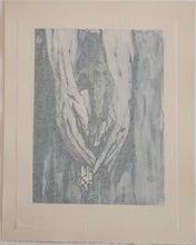 Load image into Gallery viewer, Divine Comedy - L'Enfer - Chant 16 - The Mount Of Geryon - Etching - 118/242 - "Collectors Set"