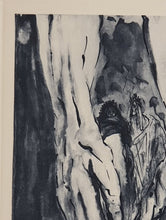 Load image into Gallery viewer, Divine Comedy - L'Enfer - Chant 16 - The Mount Of Geryon - Etching - 118/242 - "Collectors Set"