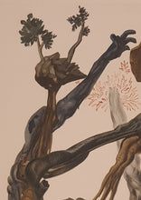 Load image into Gallery viewer, Divine Comedy - L'Enfer - Chant 13 - The Forest Of Suicides - Woodcut - 118/4765 - "Collectors Set"